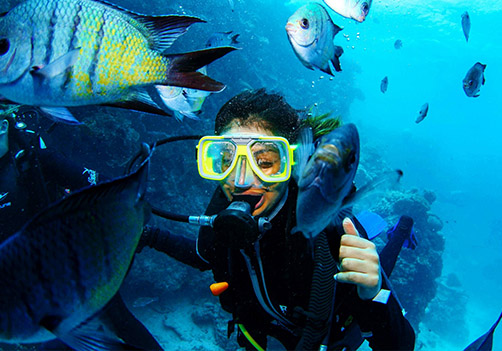 summer camp upcoming events